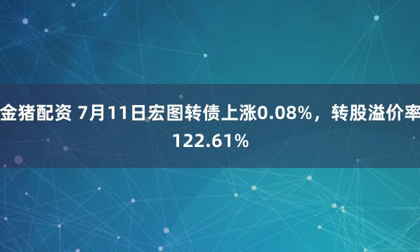 金猪配资 7月11日宏图转债上涨0.08%，转股溢价率122.61%