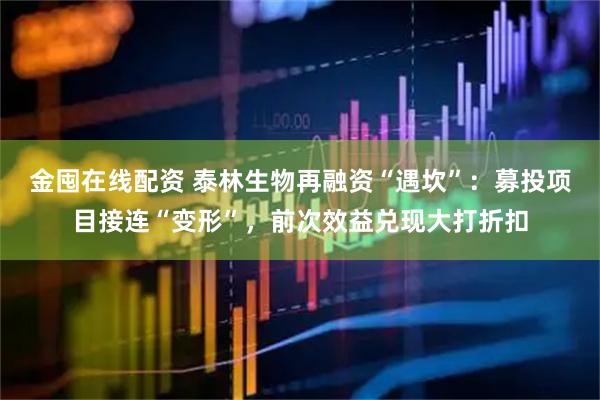 金囤在线配资 泰林生物再融资“遇坎”：募投项目接连“变形”，前次效益兑现大打折扣